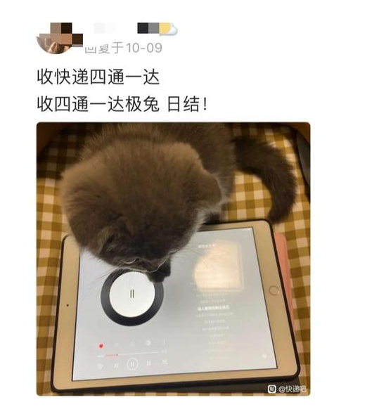 ҵϢй¶ٵ飺µ죬Ϣթ
