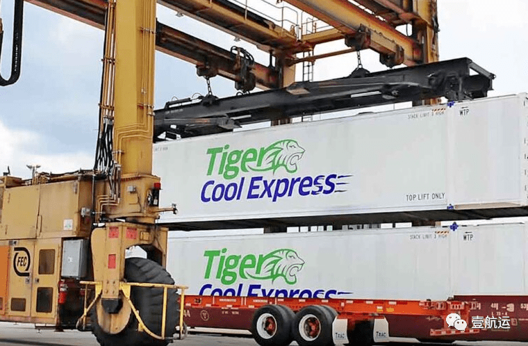 ʽѣ֪ҵTiger Cool ExpressͻȻ