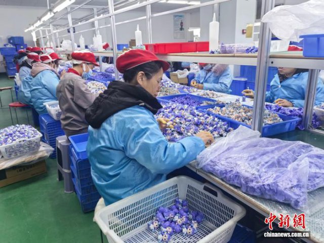 上半年湖南进出口2624.8亿元 出口结构向优向新