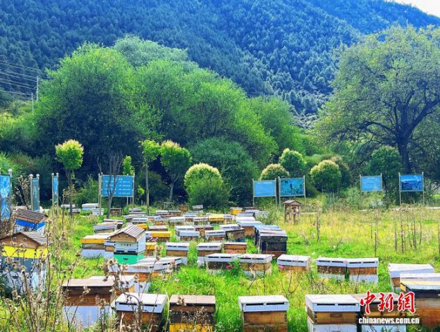 ���´��߻��㣩��ԭ������ۡ���ɽ������