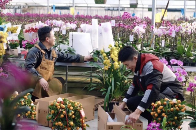 ��߸������Ӵ��¼���Ͷ�룬�����ҵ�����ڼ�ȫ������