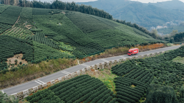 ����һ���ӣ������һ�֣���������������ǰ���ɽ�������ĵݵ���������55%