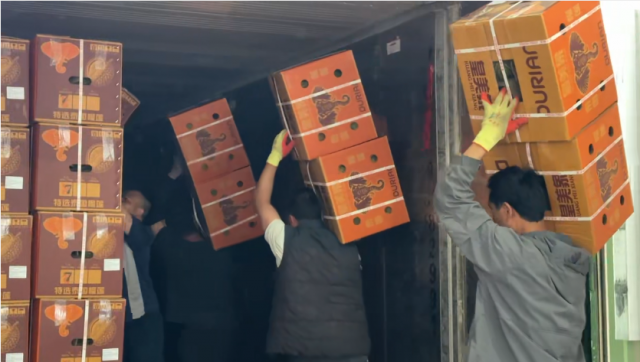 ����֮����������װ��ԾǨ��ϵ�б���֮һ